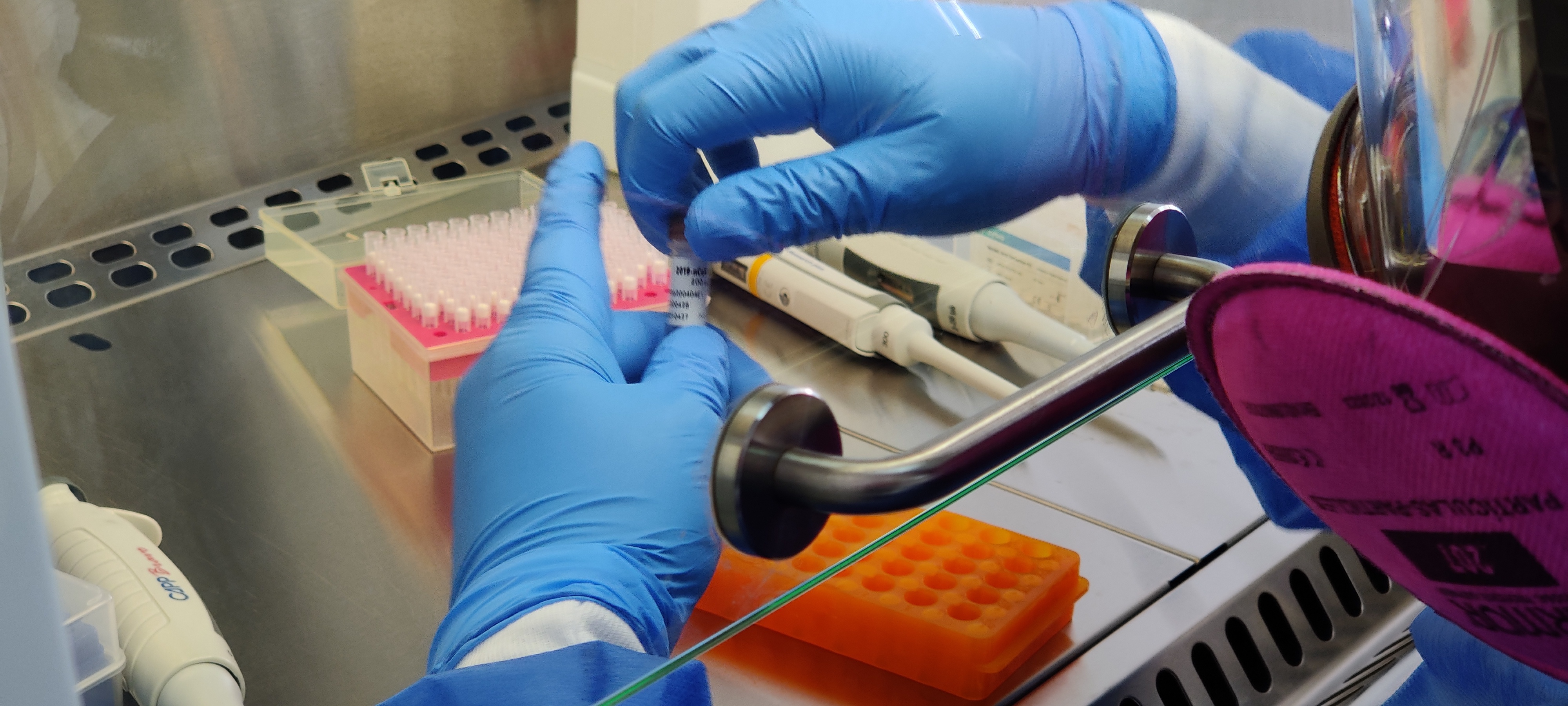 Logotipo de la colección